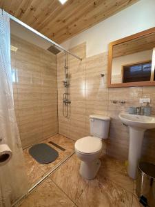 a bathroom with a toilet and a shower and a sink at Paraiso Patagonico in Chaitén