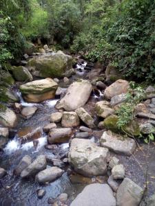 una corriente de agua con rocas y árboles en Colibrí, en San Francisco