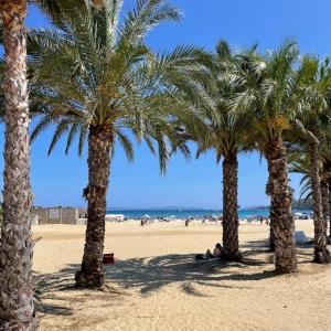 a group of palm trees on a sandy beach at Studio climatisé avec une place de parking et classé 2 étoiles à la Faviére in Bormes-les-Mimosas