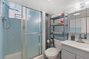 芝加哥Luxury chicago suite的带淋浴、马桶和水槽的浴室