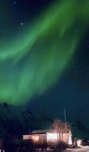 an aurora in the sky over a building at Paradis i Brenna, Lofoten in Kleppstad
