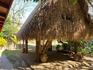 uma cabana de palha com uma escada por baixo em Cabañas Hospedaje la Reserva em Hojancha