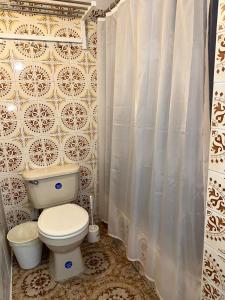 a bathroom with a toilet and a shower curtain at 176 Calle Perez 2A1 in San Juan