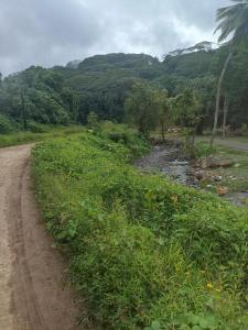 a dirt road next to a river with mountains in the background at Camping TENUI in Taputapuapea