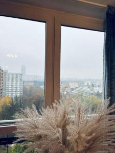 una ventana con una maceta delante de ella en Apartament z panoramicznym widokiem w Centrum, en Varsovia