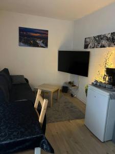 uma sala de estar com um sofá e uma televisão de ecrã plano em Lovely 1-Bed Apartment in Koblenz em Koblenz