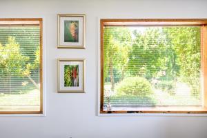 tres ventanas en una pared blanca con cuadros en Azidene House & Spa Apartment, en Daylesford