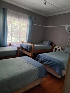 a bedroom with three beds and a window at PMB Backpackers Lodge in Pietermaritzburg