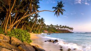a beach with rocks and palm trees and the ocean at LaRoy Mirissa-Introducing Smart Hotel in Mirissa