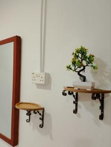a table with a plant on it next to a stool at Lawer Guesthouse (Pulau Langkawi) in Pantai Cenang