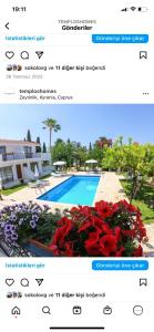 a screenshot of a website with a picture of a pool at Templos Homes in Kyrenia