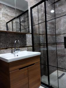 uma casa de banho com um lavatório e um chuveiro em Antonelya Home em Sapanca
