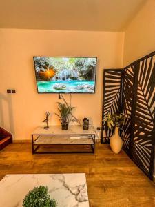 TV a/nebo společenská místnost v ubytování L'escapade