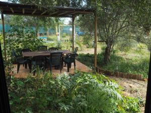 Tiny house eco resort في Estevais: طاولة وكراسي خشبية تحت مظلة في حديقة