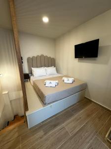 1 dormitorio con 1 cama y TV en la pared en Mentha Luxury Home, en Lefkogeia