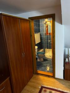 a bathroom with a toilet and a wooden door at Cabana Mija in Jieţ