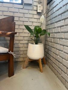 una pianta seduta su uno sgabello accanto a un muro di mattoni di Eachother Hostel a Chiang Mai