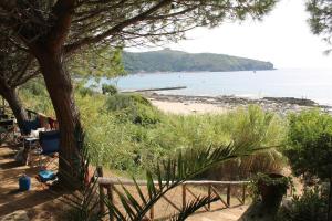 Gallery image of Camping Amanti Del Mare in Palinuro