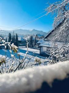 un gruppo di pecore che cammina nella neve di Pensiunea Irina Maramureș a Deseşti