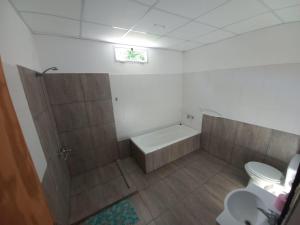 ビジャ・メルセデスにあるDepto Lu 3のバスルーム(シャワー、バスタブ、トイレ付)