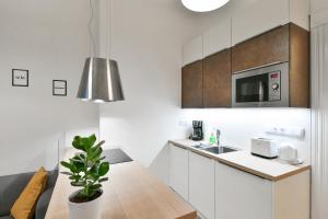 Kuchyň nebo kuchyňský kout v ubytování Kubelíkova 32 Residence