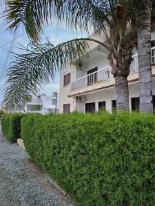 un edificio con una palmera delante de él en Magic Apartments 2, en Lárnaca