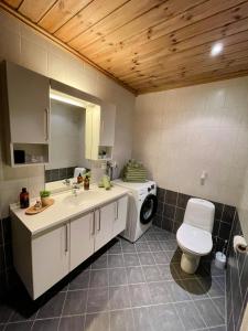 a bathroom with a toilet and a washing machine at Gausta Lodge med 6 sengeplasser i nærhet til Gaustatoppen in Gaustablikk