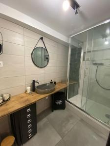 ein Bad mit einem Waschbecken und einer Glasdusche in der Unterkunft Appartement cosy au sein d’un hameau verdoyant 