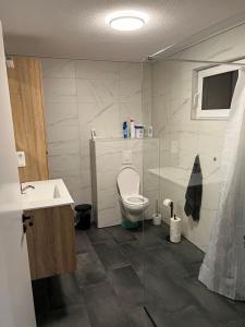 a bathroom with a toilet and a sink at Boerenkiel Vakantiehuisjes in De Kiel