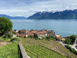 una città su una collina vicino a un corpo d'acqua di Loft-House - Maison Vigneronne Village UNESCO a Rivaz