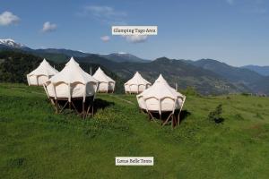 a row of white tents in a grassy field at Glamping Tago in Khulo