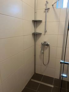 エッセンにあるGemütlichのバスルーム(ガラスドア付きのシャワー付)