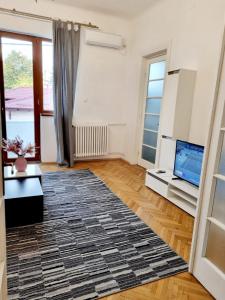 sala de estar con TV y alfombra en Cozy apartment near city center, en Bucarest