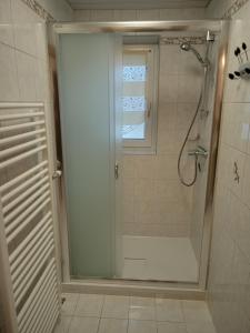 a shower with a glass door in a bathroom at Ferienwohnung Schreieck Maria in Hofen +28 photos