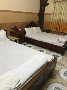 a room with two beds and a tree on the floor at Hòa Lợi Hotel in Quy Nhon