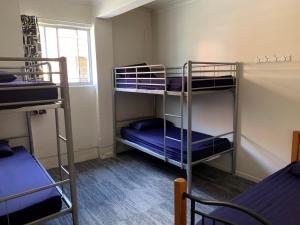 a room with two bunk beds and a window at Habitat Backpackers in Brisbane