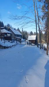 un patio cubierto de nieve con casas en el fondo en Domek z Kominkiem Jaworzynka - Śliwkula, en Jaworzynka