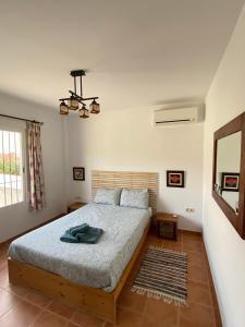 a bedroom with a bed and a mirror in it at Casa Cristina in Jete