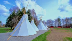 a row of tents lined up in a field at kemp Pohoda in Roudná