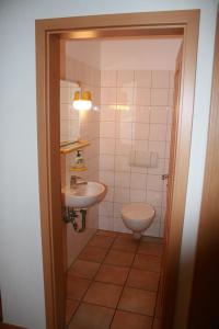 uma casa de banho com um lavatório e um WC em Landhaus am Esch em Warendorf