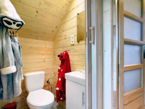 a bathroom with a toilet in a wooden wall at Domki Zielone Skałki in Falsztyn