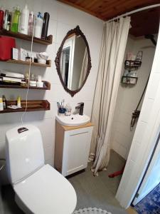La salle de bains est pourvue de toilettes blanches et d'un miroir. dans l'établissement Romantiline talu ja saun Muhumaa südames, à Hellamaa