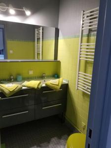 een groene badkamer met 2 wastafels en een spiegel bij Le Toit de Bigorre - T2 - Bagnères de Bigorre in Bagnères-de-Bigorre