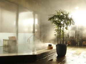 eine Topfpflanze in einem Raum mit Rauch in der Unterkunft Wellness Forest Nasu in Nasu