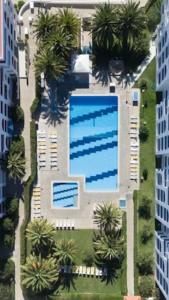 an overhead view of a large swimming pool with palm trees at Casa Azul 3 - Senhora da Rocha, Algarve in Porches