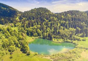 an aerial view of a lake in the middle of a forest at Visoravan 1200 in Kupres