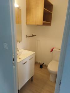 a bathroom with a toilet and a sink at Évasion Hébergement in Allevard