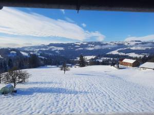 Ferienwohnung Raid talvel