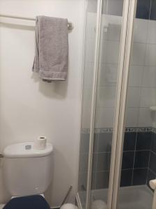 uma casa de banho com um WC e uma cabina de duche em vidro. em Appartement face Mer em Tréboul