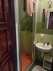 a bathroom with a shower and a sink at Hotel Koloniál Skalité in Skalité +17 photos